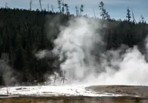 Yellowstone