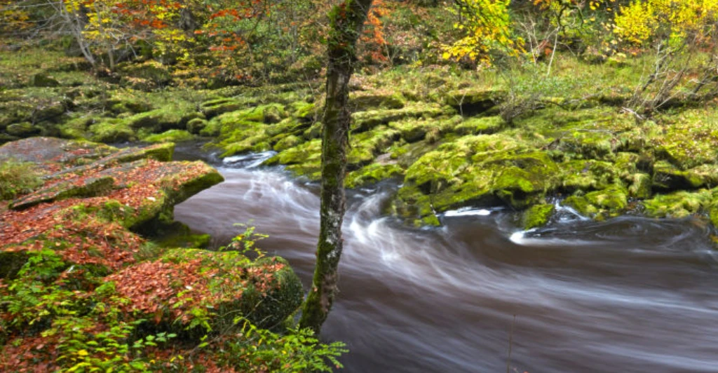 Man drops GoPro in ‘most dangerous river in the world’ and people are freaked out by what lies beneath