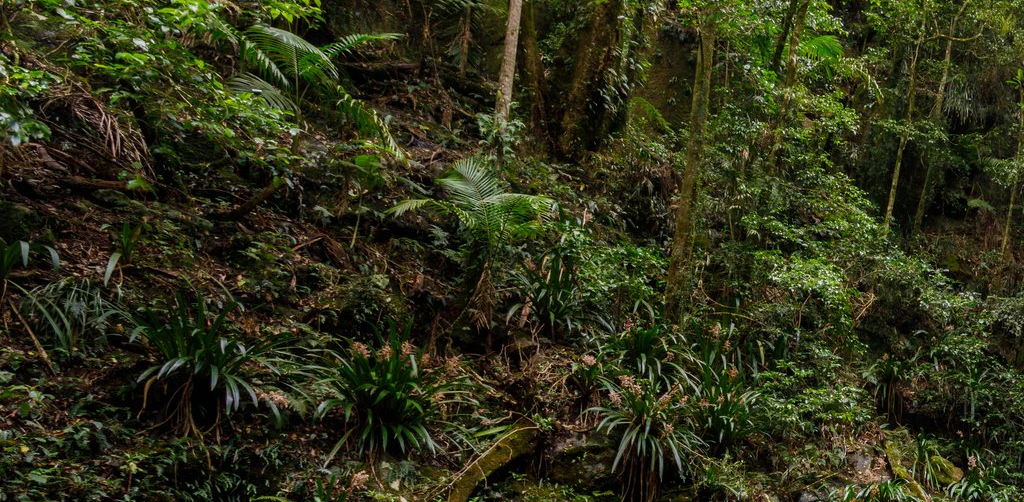 Boy and girl, both 17, tragically die in double drowning after she 'fell off' a waterfall and he jumped in to save her