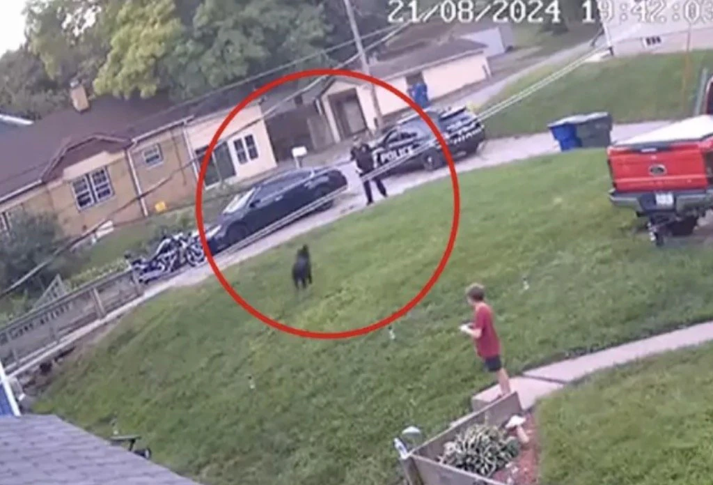 Thousands sign petition calling for Iowa cop who fatally shot family's dog to be punished