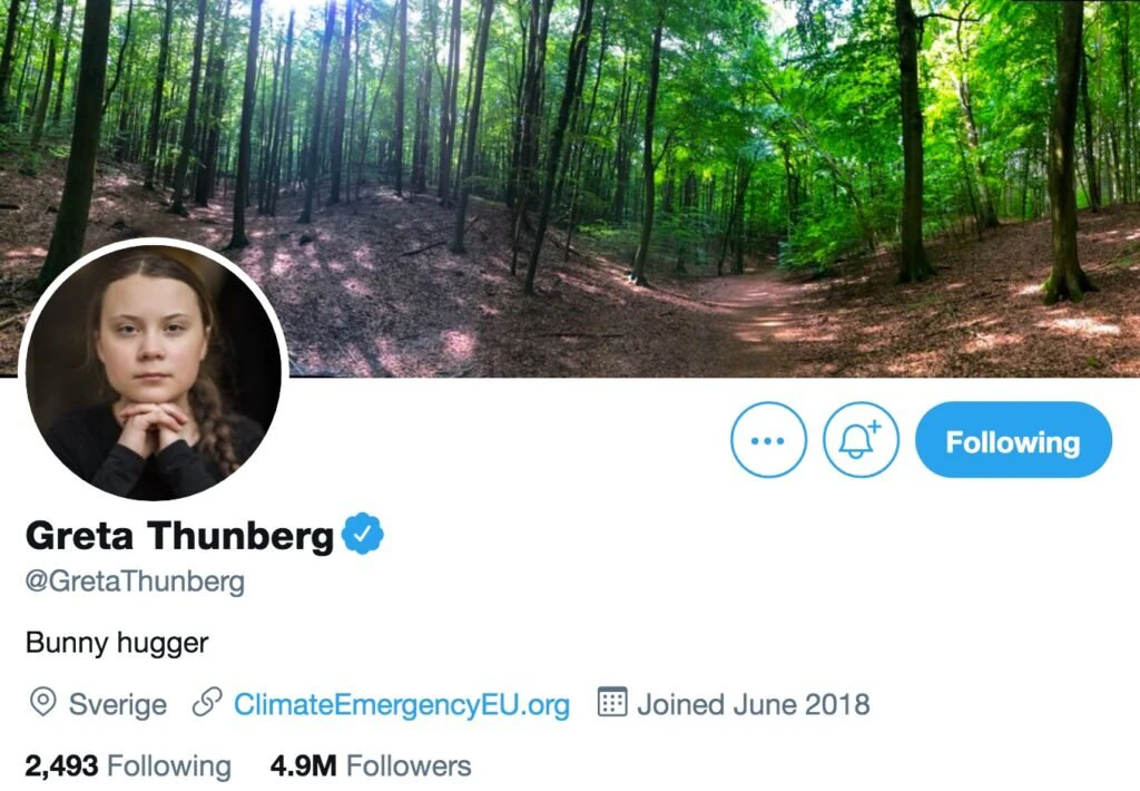 size-large wp-image-1263104457