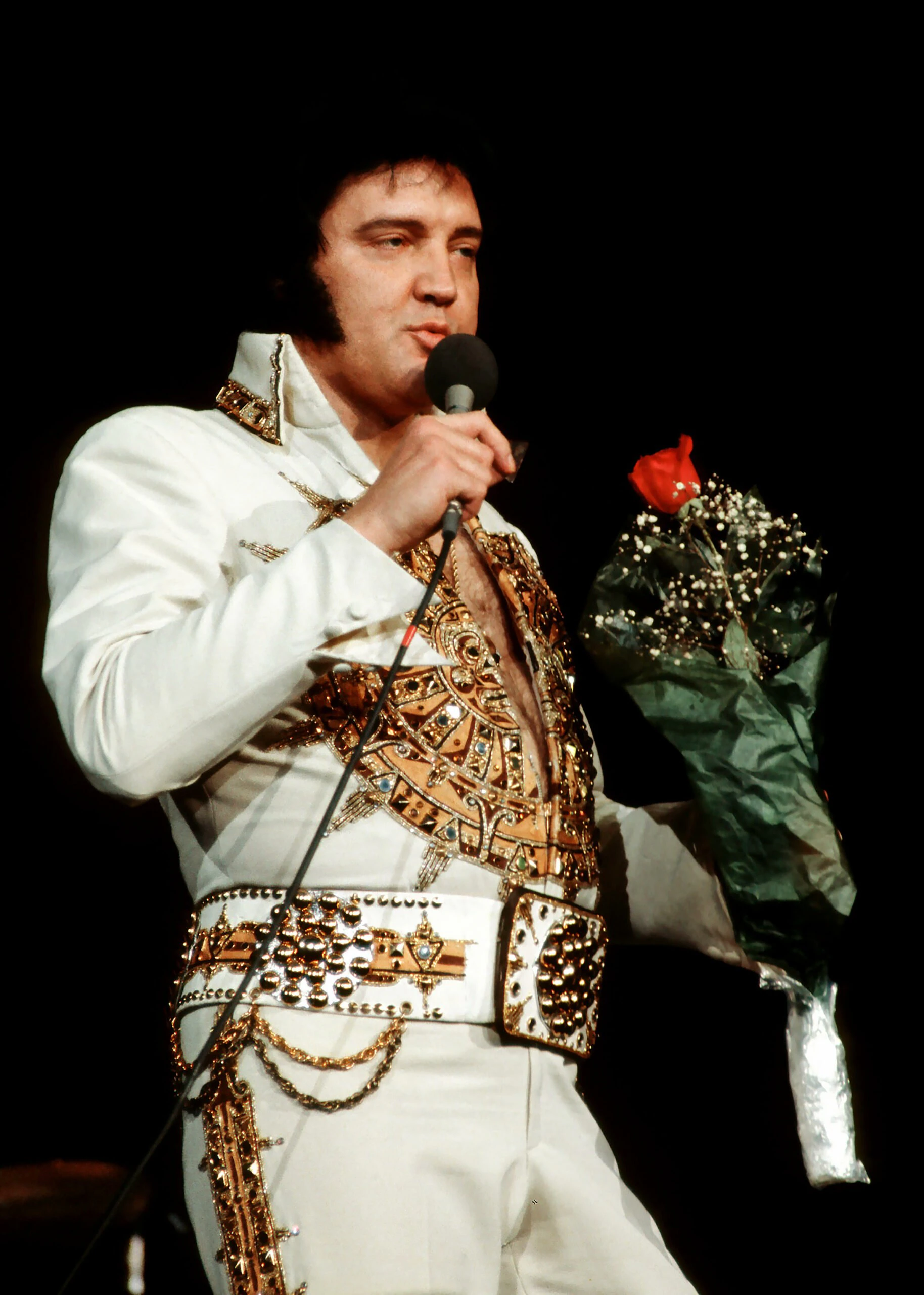 wp-image-1263177188 size-full