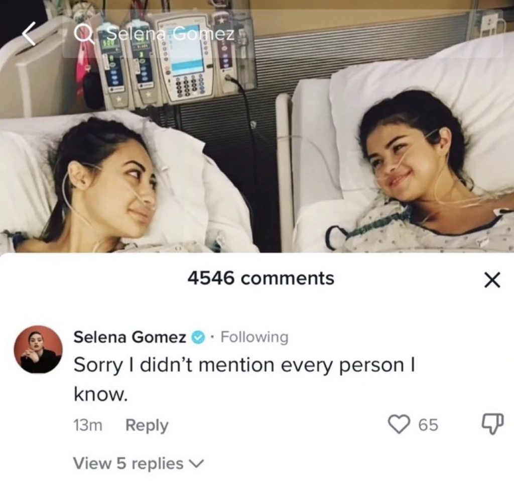 wp-image-1263176668 size-large