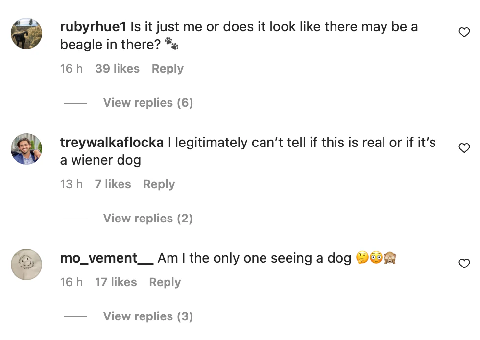 wp-image-1263187078 size-full