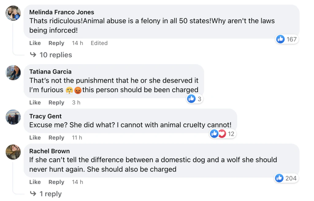 wp-image-1263197882 size-large