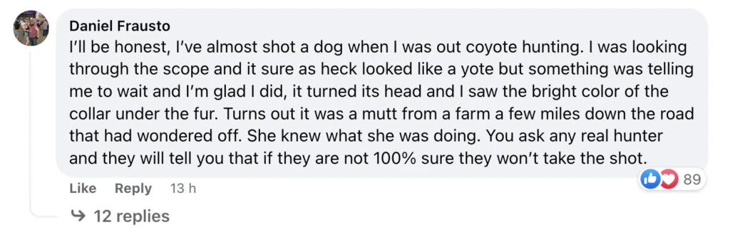 wp-image-1263197889 size-large