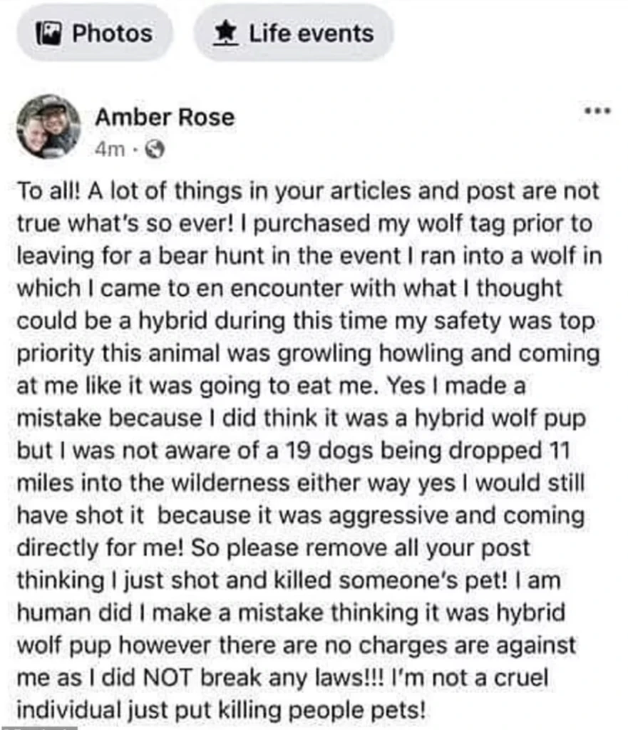 wp-image-1263197916 size-large