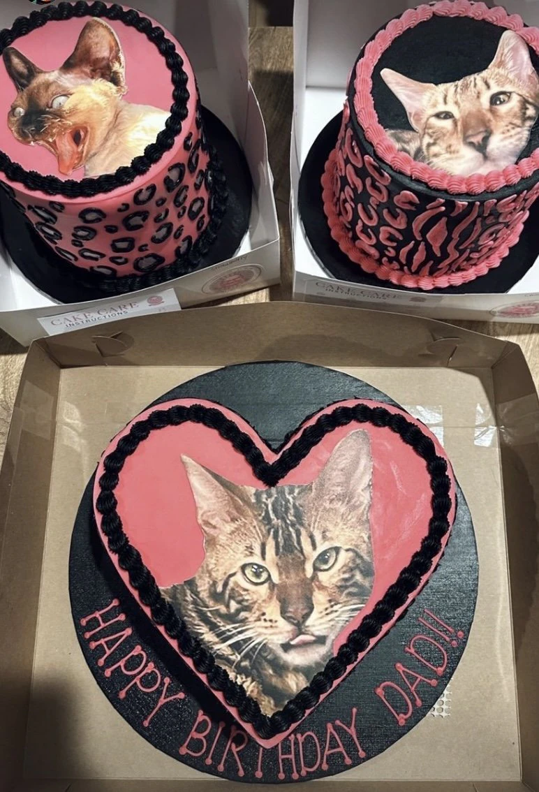 wp-image-1263207747 size-full