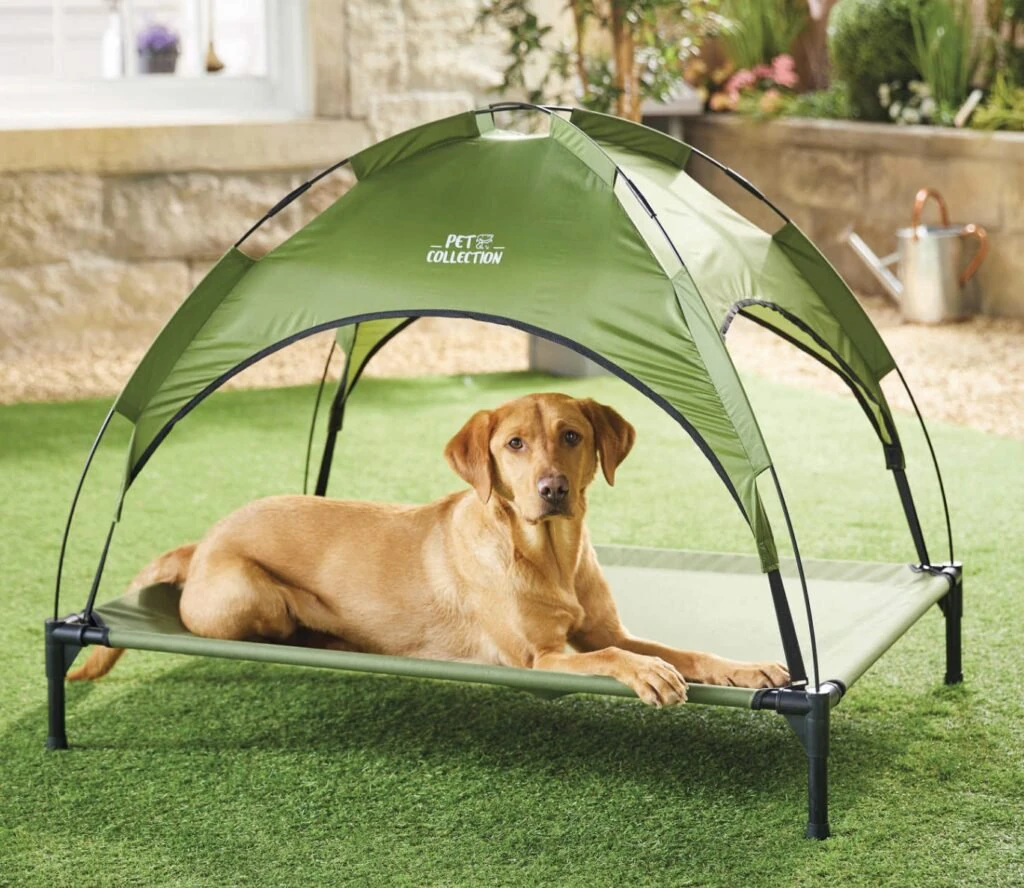 size-large wp-image-1263212703