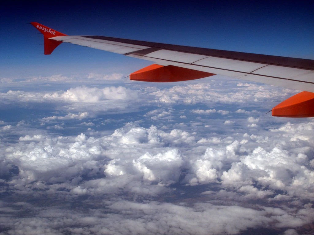 size-full wp-image-1263228494