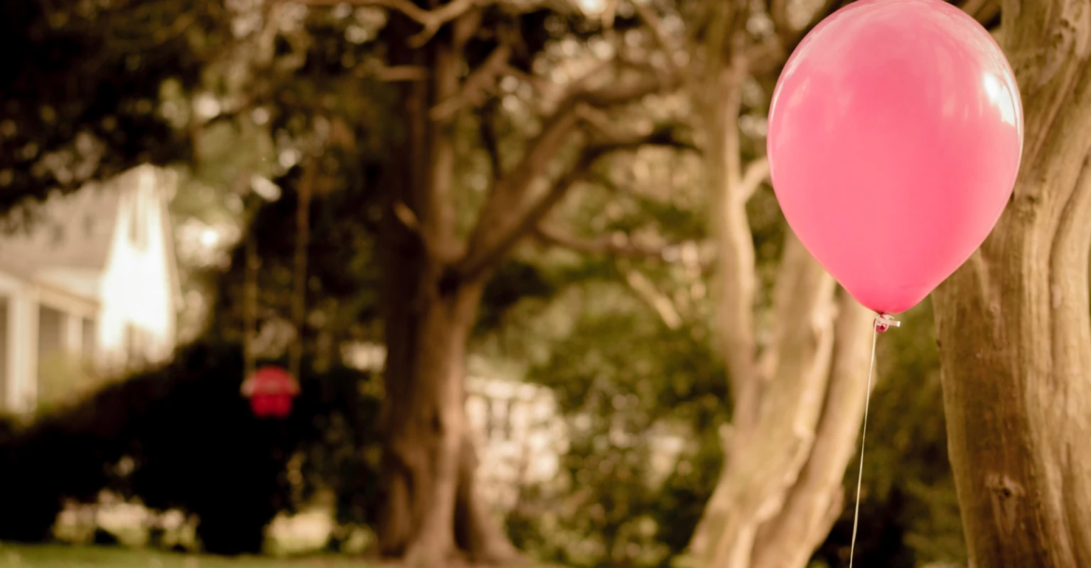 Pink pigeon said to have been dyed for gender reveal party dies from color toxins, experts believe
