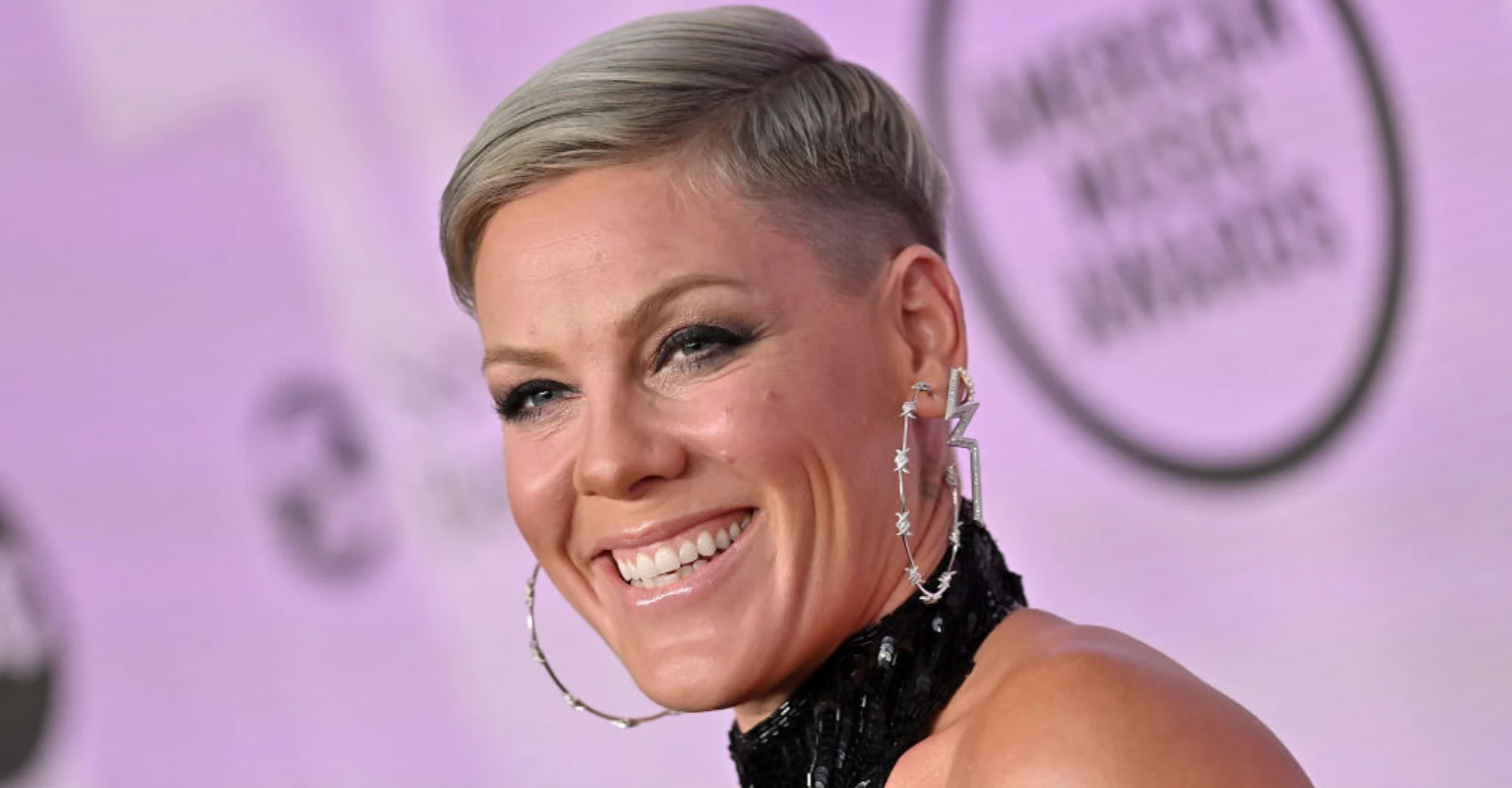 Pink, 43, hailed as 'stunning' as she shares nude photo taken by her husband