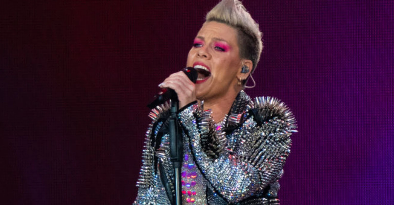 Pink blasts troll who compared her to Eddie Izzard in 'hateful' post