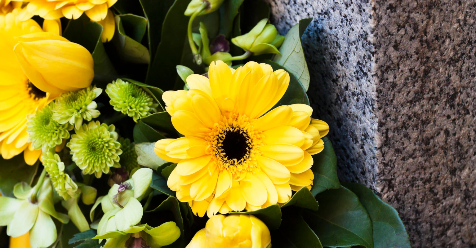 US Army servicewoman and fitness influencer Michelle Young dies aged 34