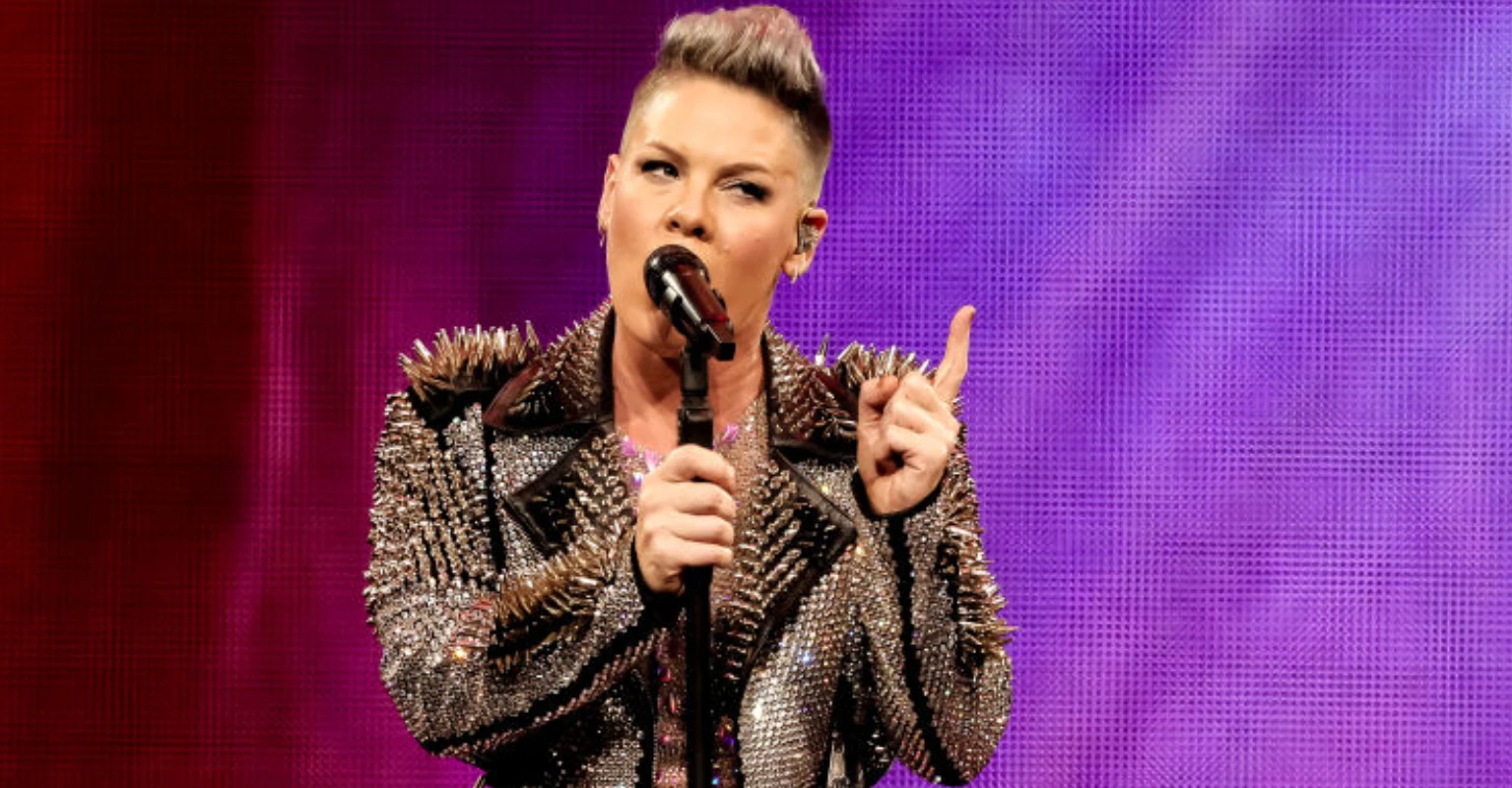 Pink forced to pause concert after a fan goes into labor in the middle of a mosh pit