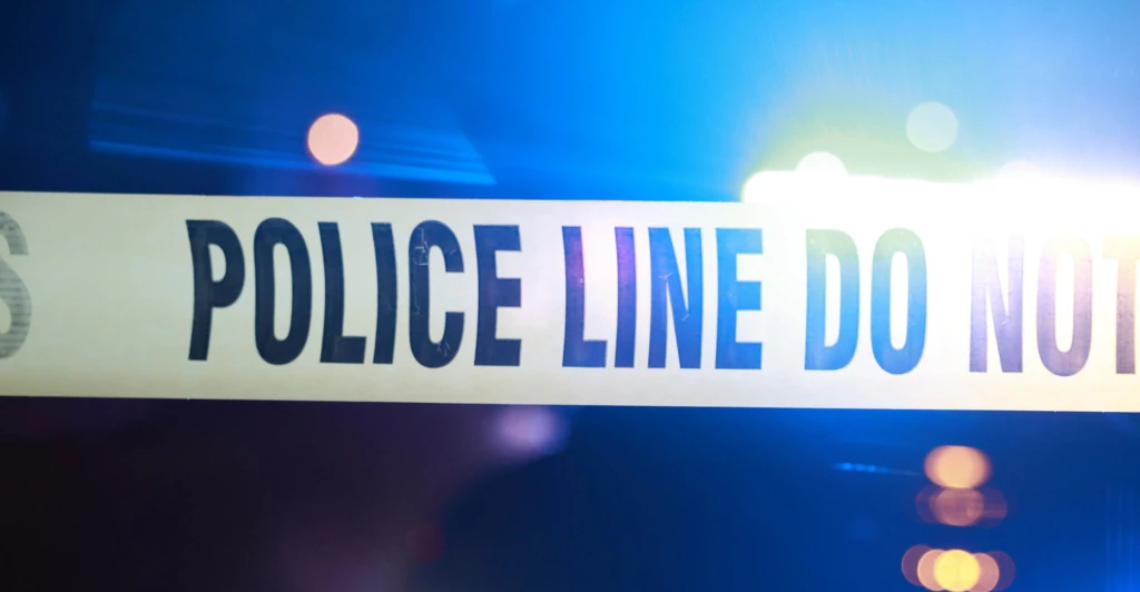 Two missing Georgia firefighters found dead - 400 miles away from home